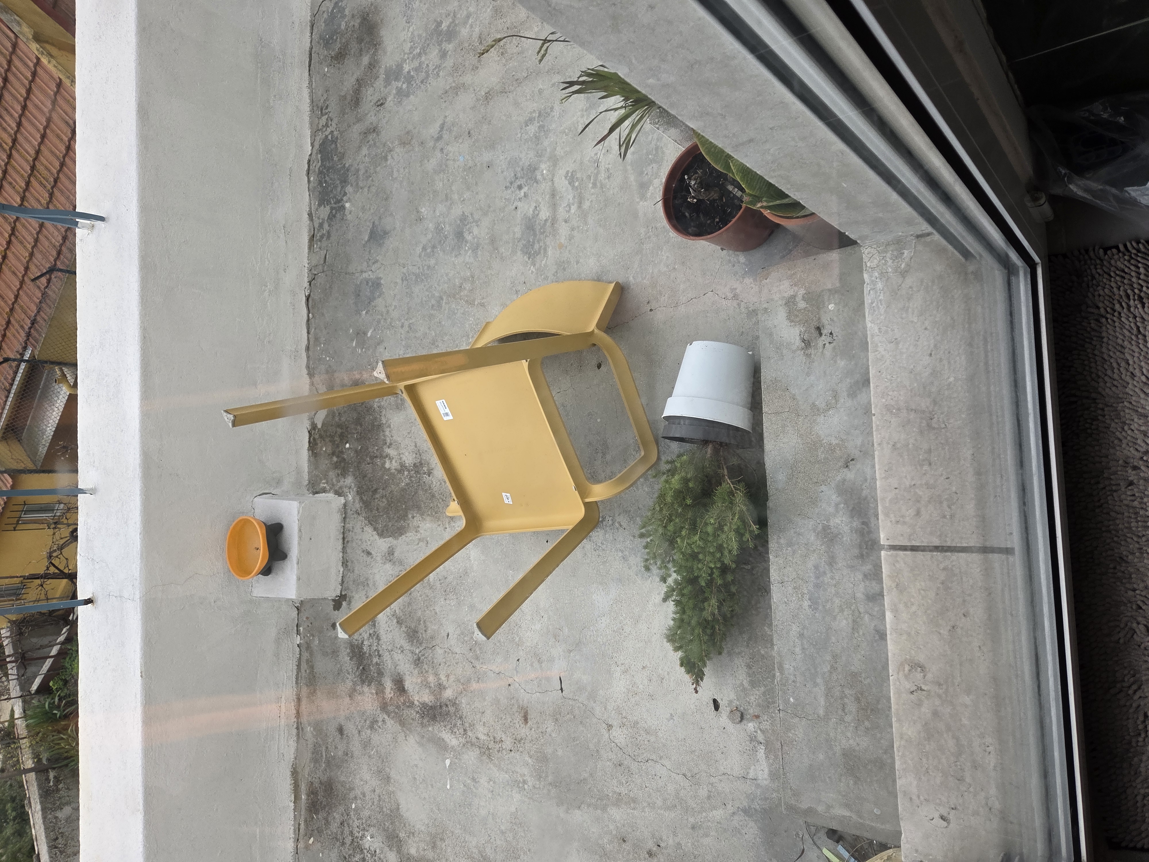 view from a morning after a storm